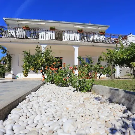 Razanj 17867c Apartamento